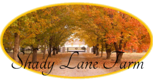 Shady Lane Farms Wedding Venue