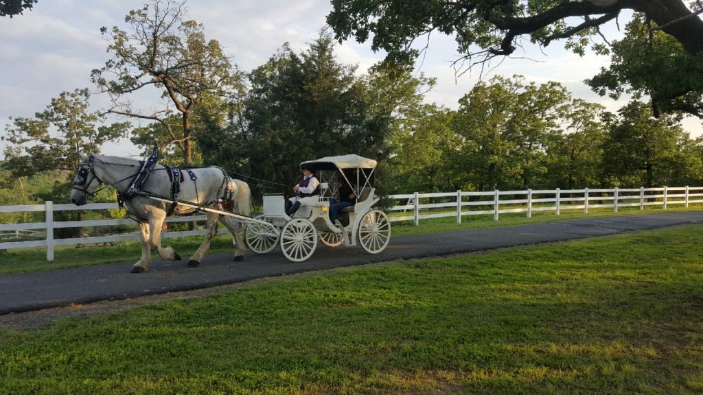 Romantic Ava K's Ranch Rides (3)