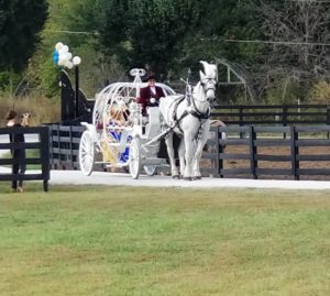 Cinderella Horse And Carriage Wedding