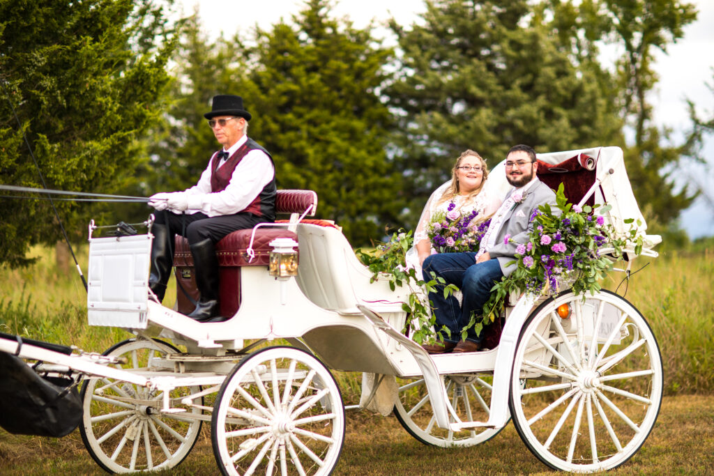 Ava K's Carriage Service HorseDrawn Carriage Rides in Sapulpa, Jenks