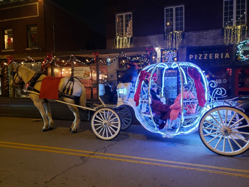 Downtown Carriage Rides – Ava K's Carriage Service