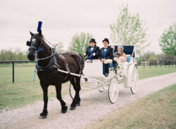 mason-wedding-trotting