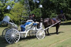 wagon-only