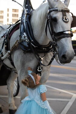 Cinderella birthday photo shoot for Olivia @triciahurstphotography